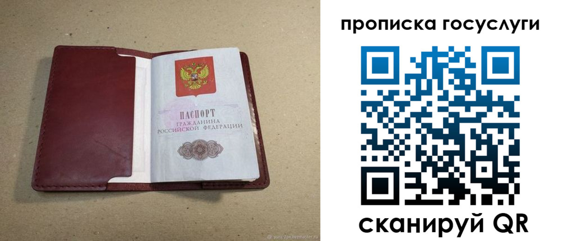 прописка поиск в Рыбном